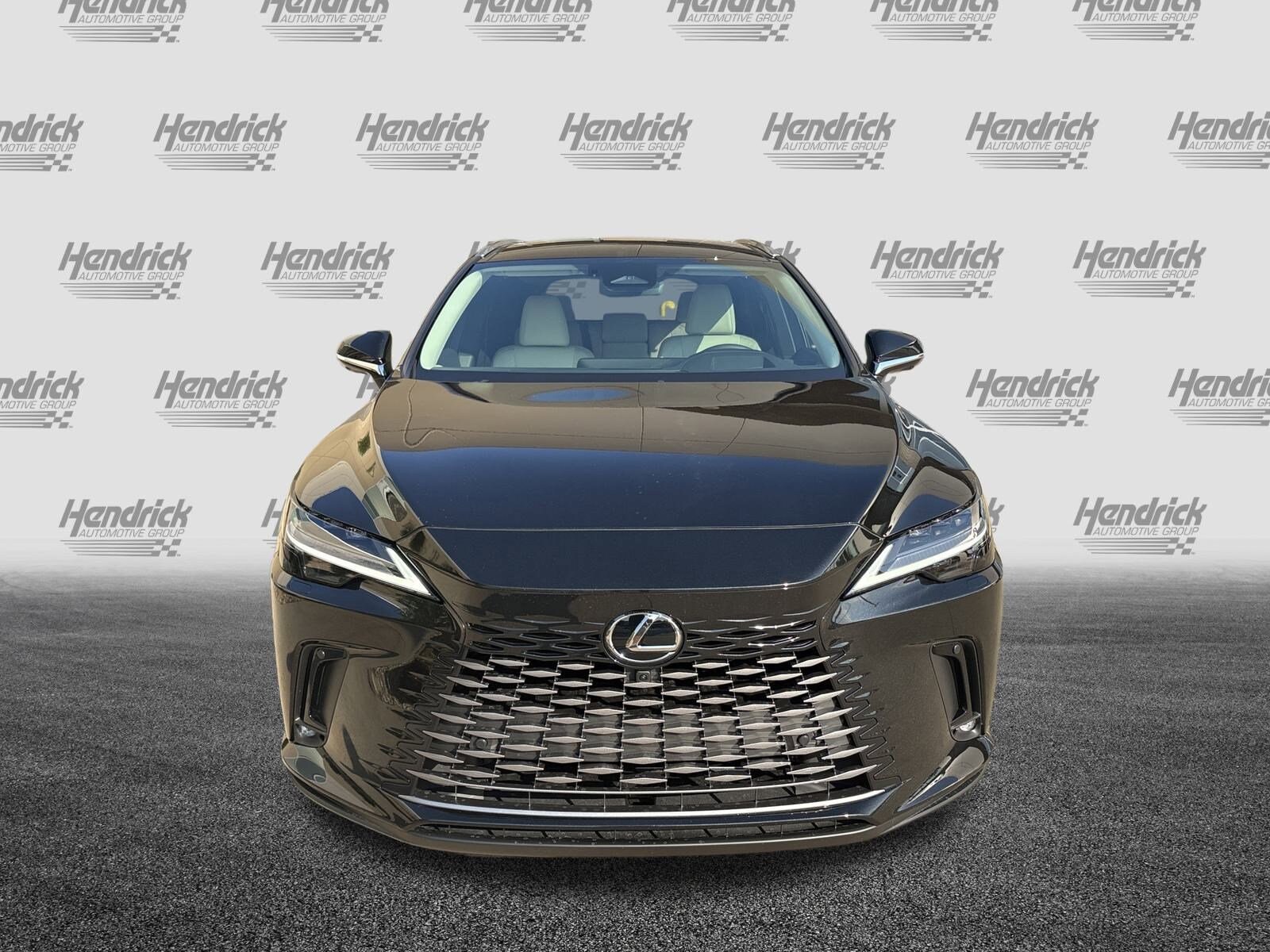 2025 Lexus RX 350 Luxury photo 2