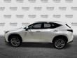 2024 LEXUS NX 350h Luxury SUV