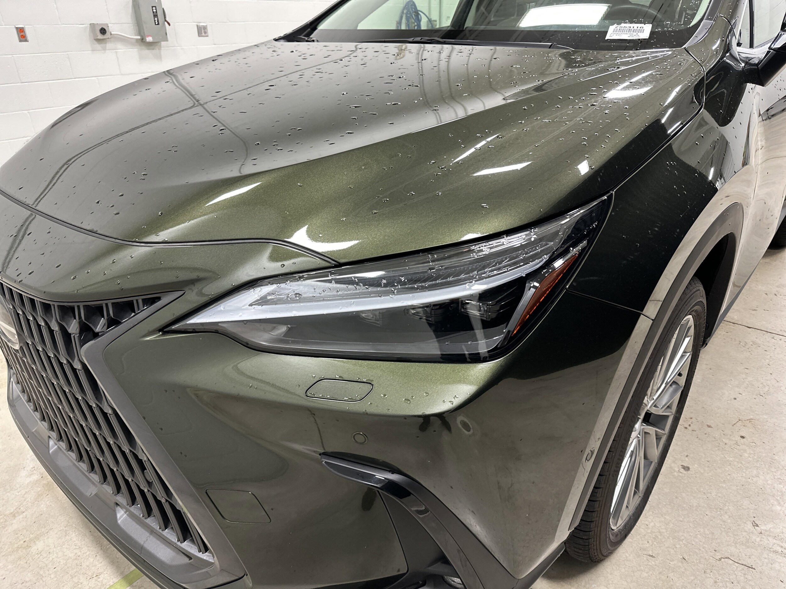 2025 LEXUS NX 350h Luxury photo 4