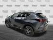 2025 LEXUS NX 350h Luxury SUV