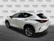 2024 LEXUS NX 350h Luxury SUV