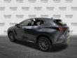 2024 LEXUS NX 350 350 Premium SUV