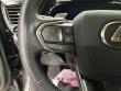 2025 LEXUS NX 350h Luxury SUV
