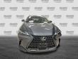 2024 LEXUS NX 350 350 Premium SUV