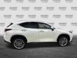 2024 LEXUS NX 350h Luxury SUV