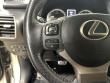 2018 LEXUS NX 300 F Sport SUV