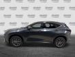 2025 LEXUS NX 350h Luxury SUV