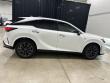 2023 LEXUS RX 350 F SPORT Handling SUV