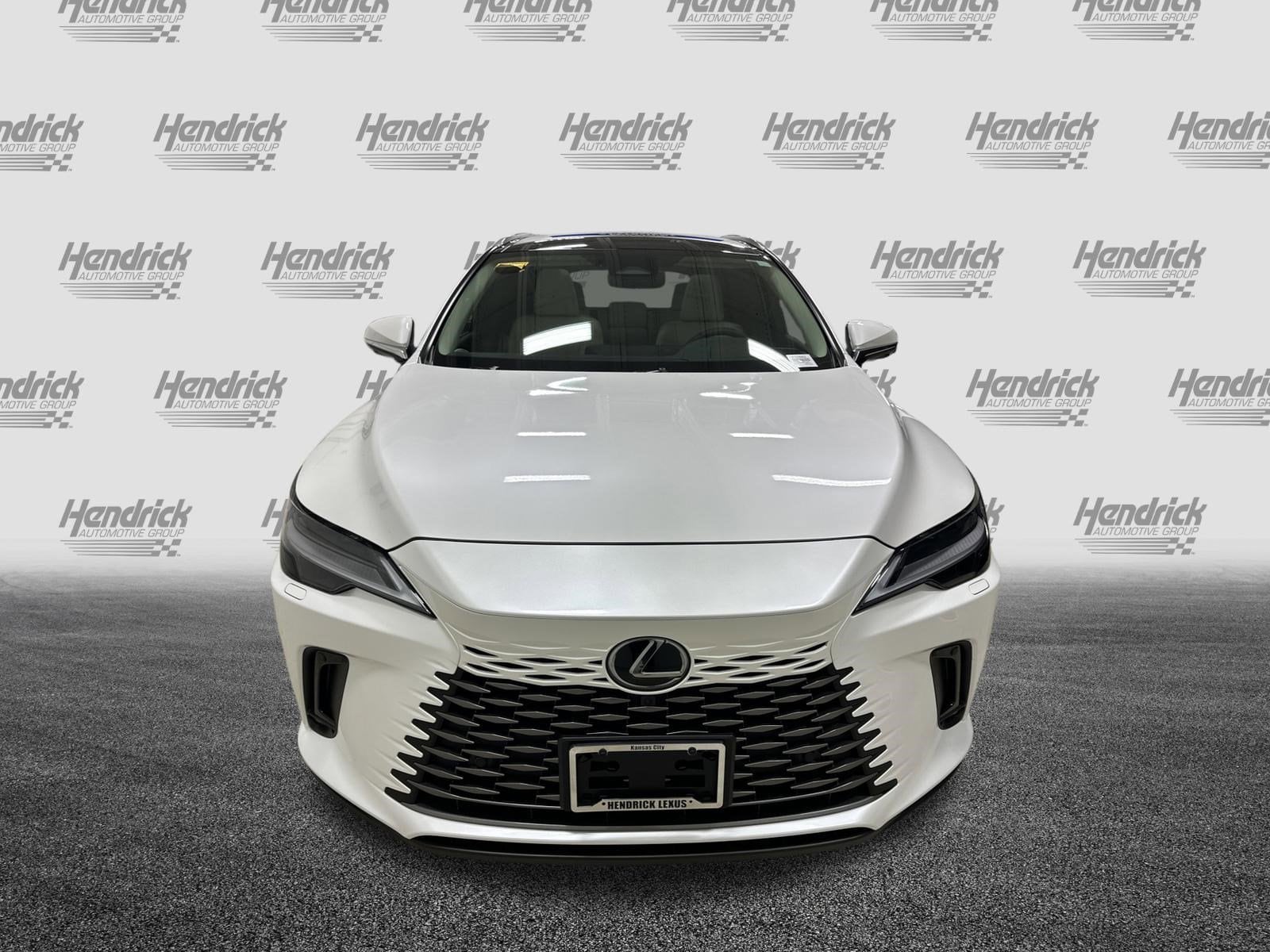 2025 LEXUS RX 350 Luxury photo 2
