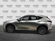 2024 LEXUS NX 350 350 Premium SUV