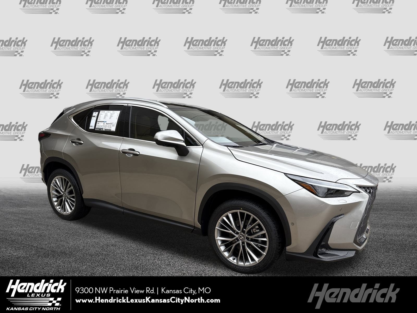 2026 Lexus NX Base's photo