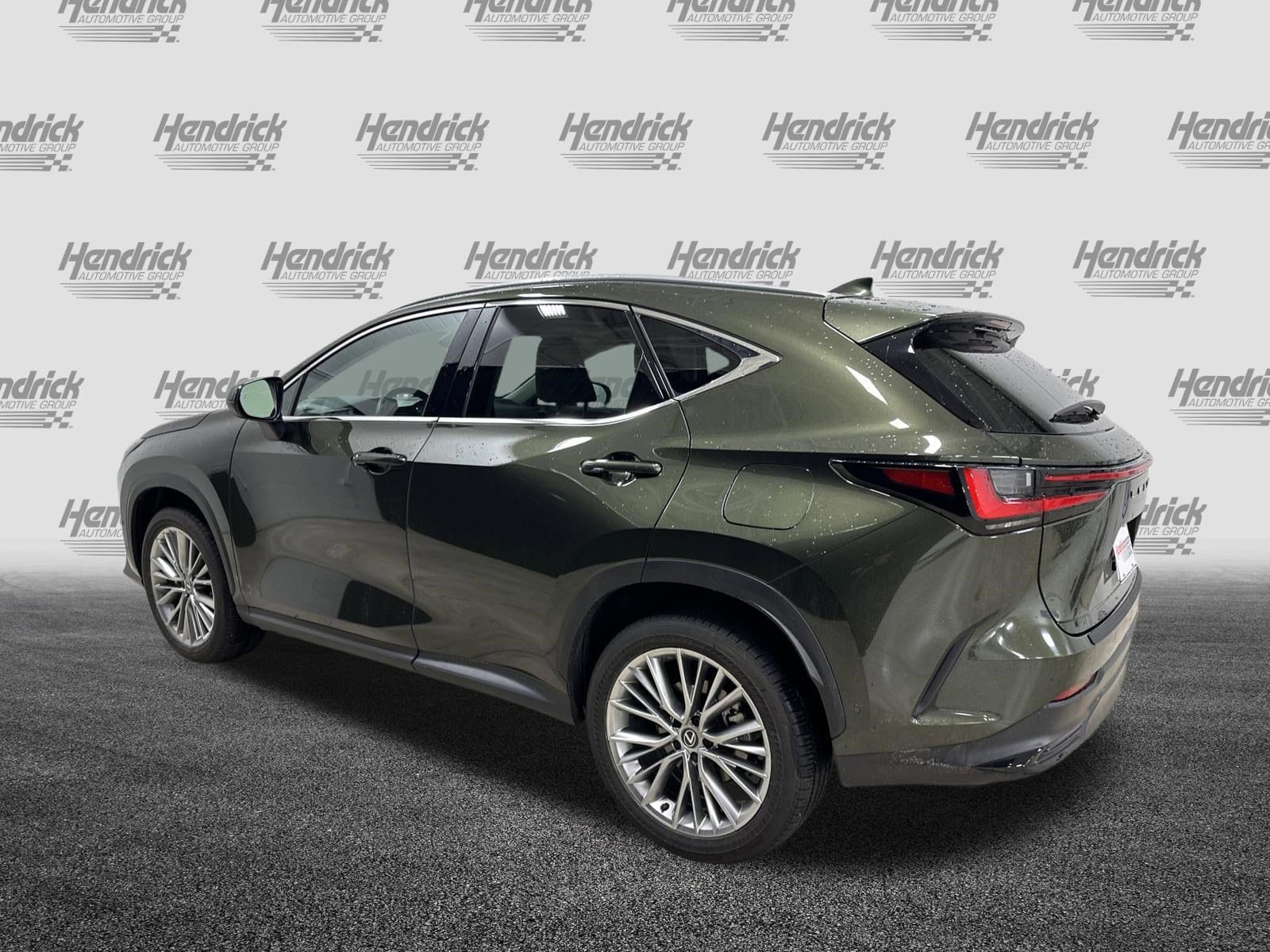 2025 LEXUS NX 350h Luxury photo 6