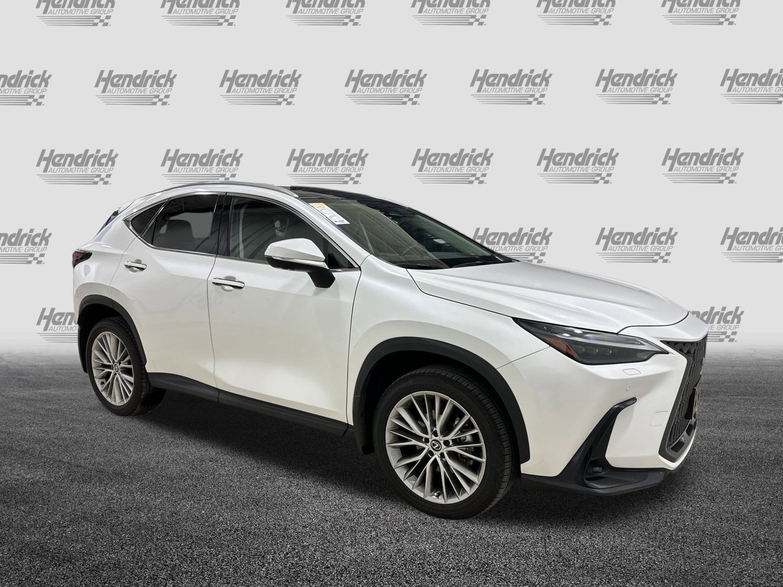 Certified 2024 Lexus NX 350 with VIN 2T2HGCEZ0RC049558 for sale in Kansas City