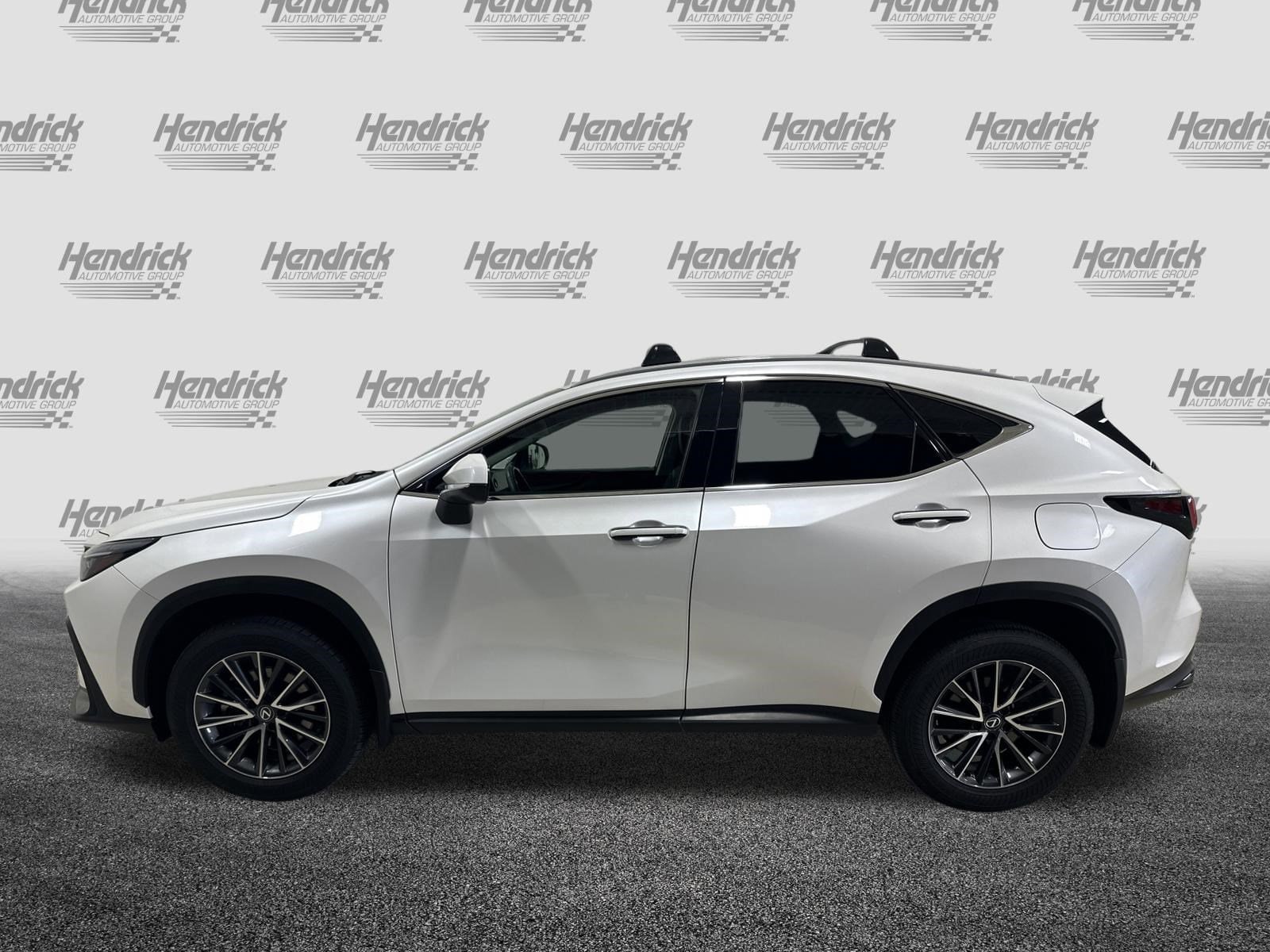 2024 LEXUS NX 350 Premium photo 4