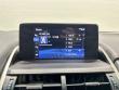 2019 LEXUS NX 300 F SPORT SUV