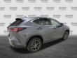 2025 LEXUS NX 350h Luxury SUV