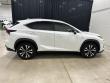 2019 LEXUS NX 300 F SPORT SUV