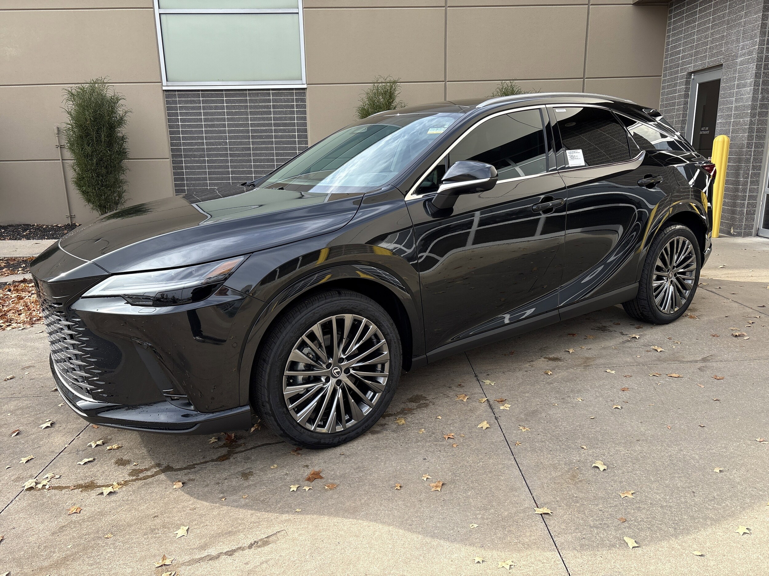 2026 Lexus RX 350h Luxury photo 4