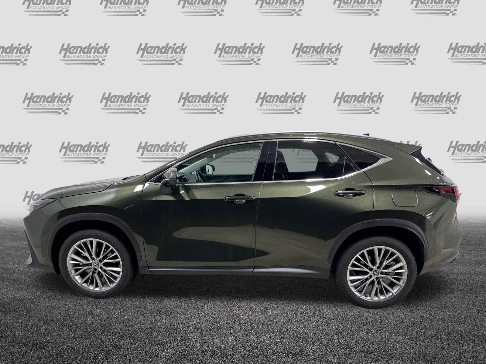 2025 LEXUS NX 350h Luxury photo 5