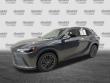 2025 LEXUS RX 350 Premium SUV