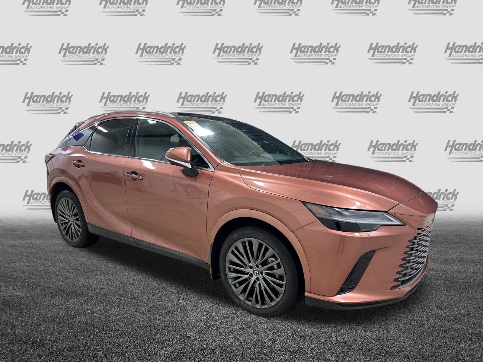 2025 Lexus RX 350 Luxury photo 2