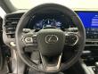 2025 LEXUS RX 350 Premium SUV