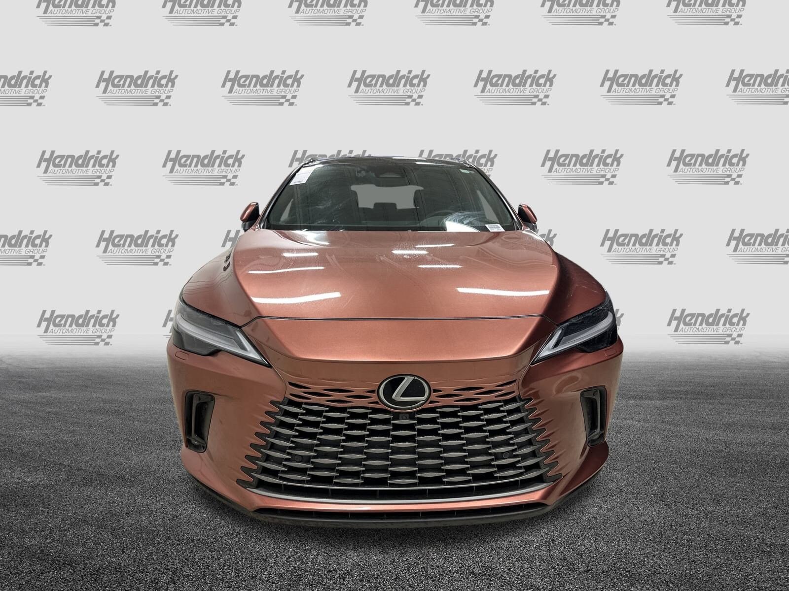 2025 Lexus RX 350 Luxury photo 3