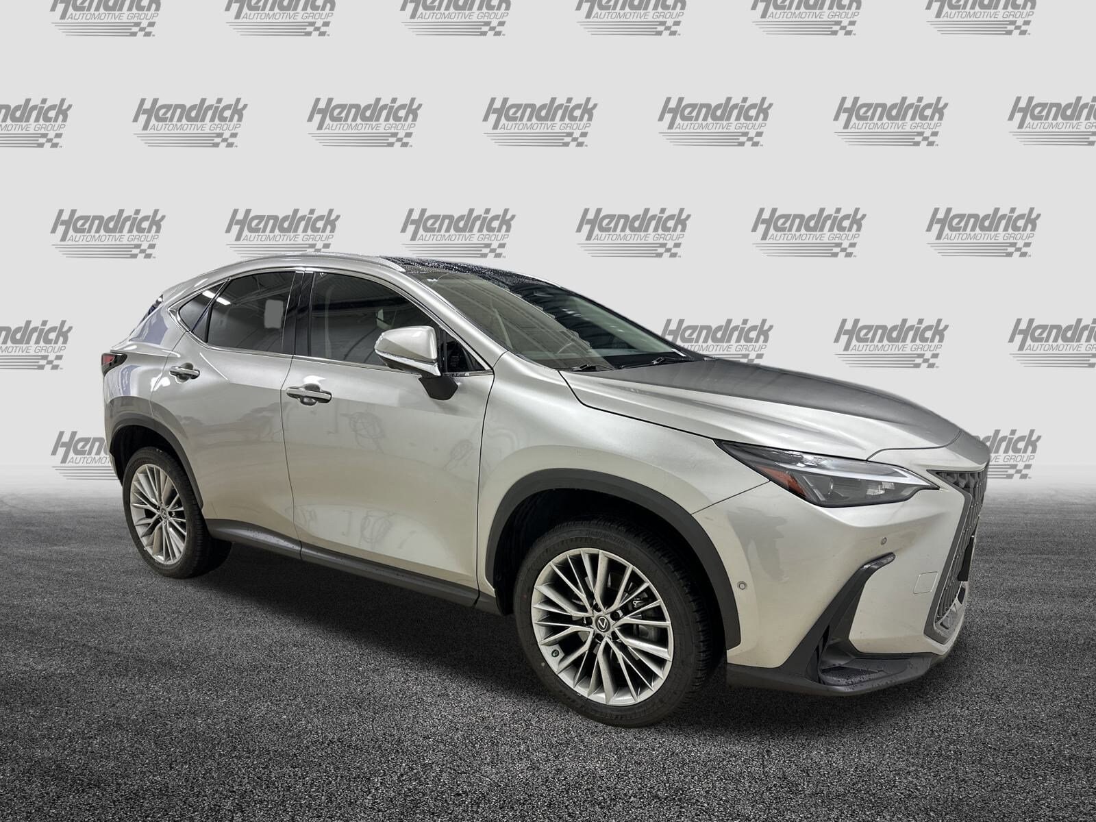 2022 Lexus NX 350h Luxury photo 2