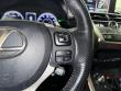 2019 LEXUS NX 300 F SPORT SUV