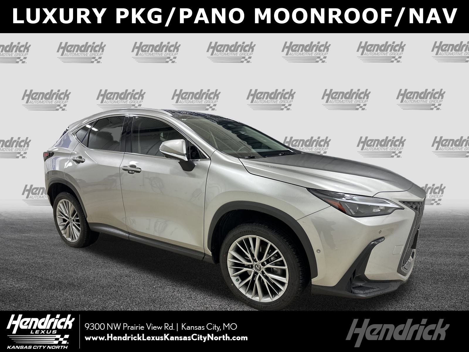 2022 Lexus NX Hybrid 350h's photo