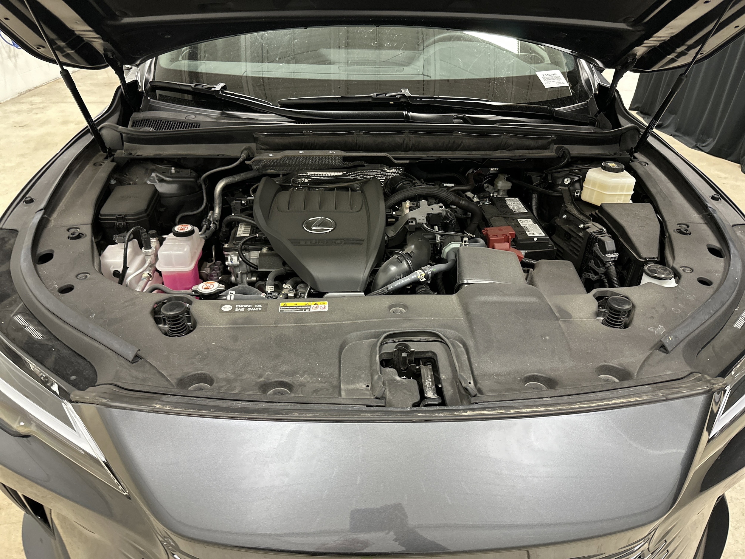 2025 LEXUS RX 350 Premium photo 6