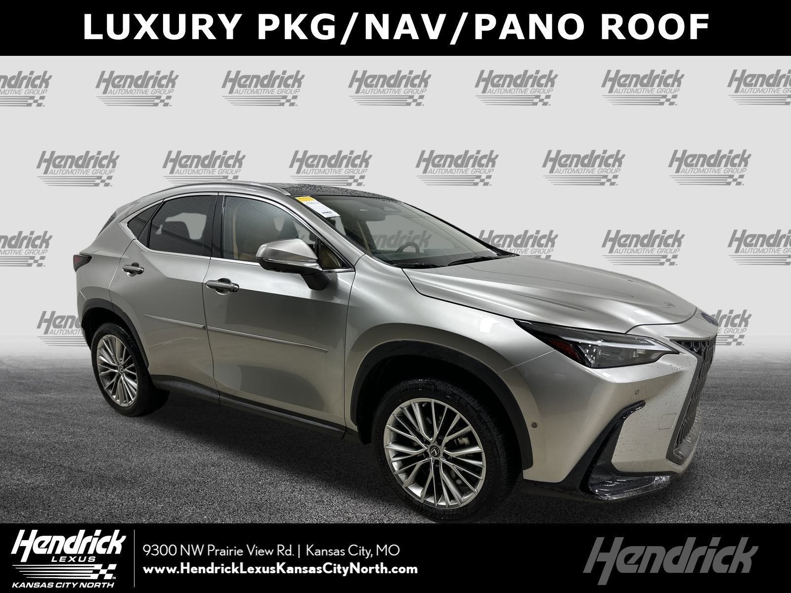 2022 Lexus NX Hybrid 350h's photo