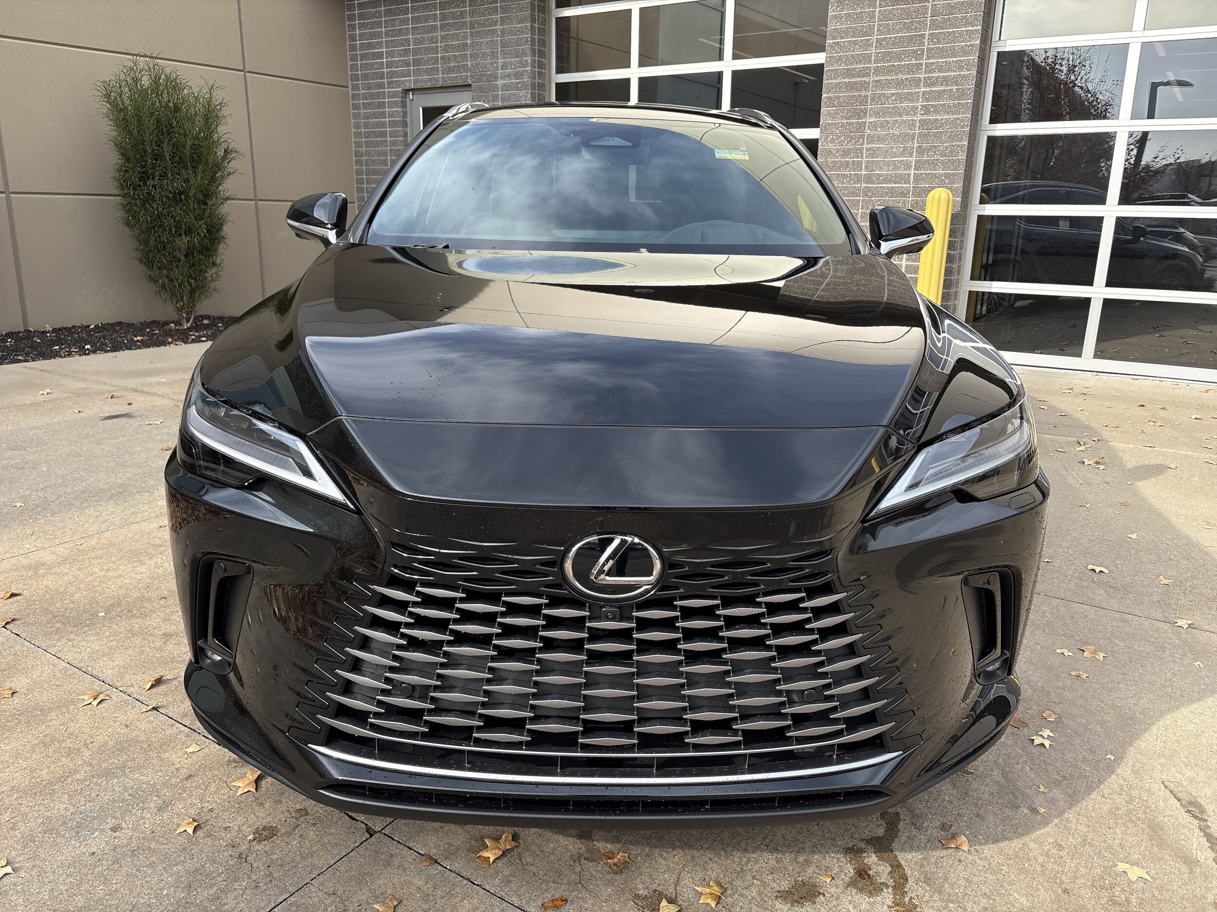 2026 Lexus RX 350h Luxury photo 3