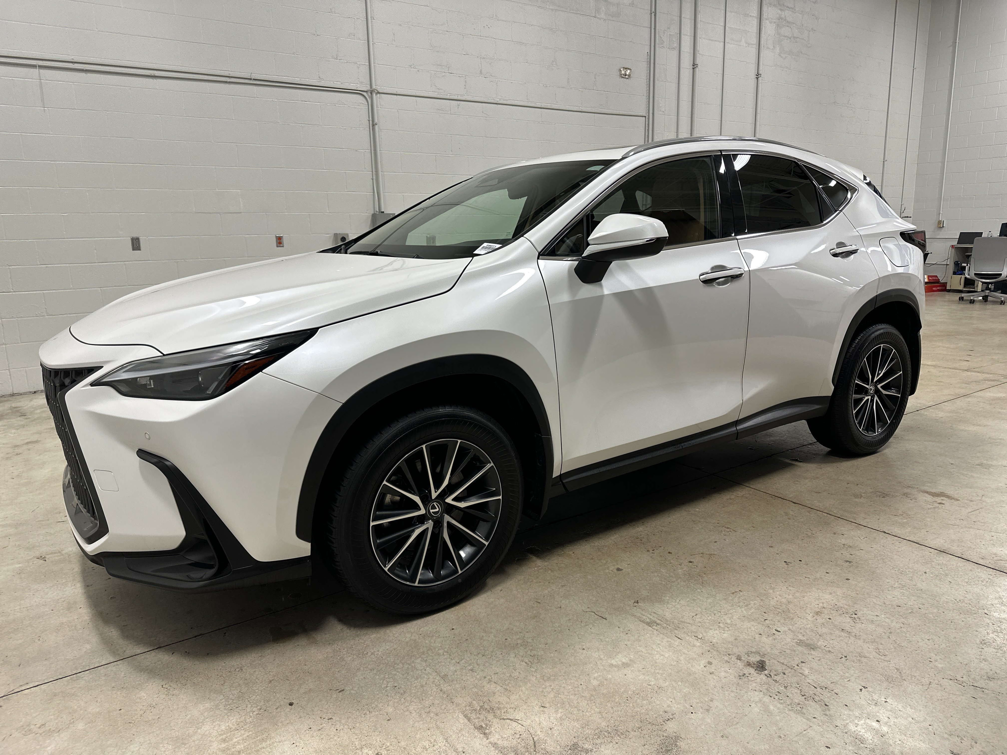 Used 2024 Lexus NX 350 Premium SUV