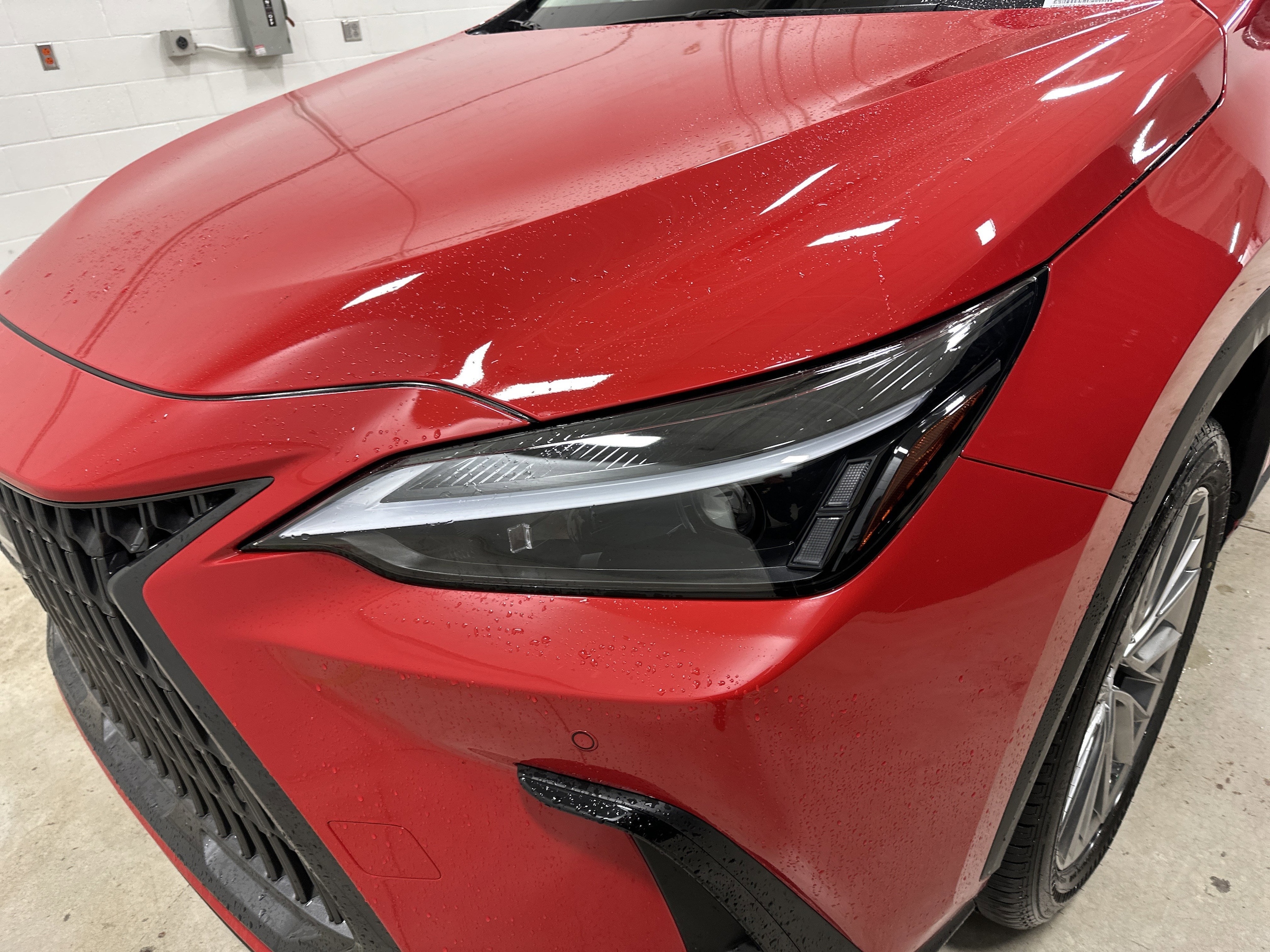 2025 LEXUS NX 350h Premium photo 4