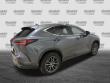 2024 LEXUS NX 350 350 Premium SUV