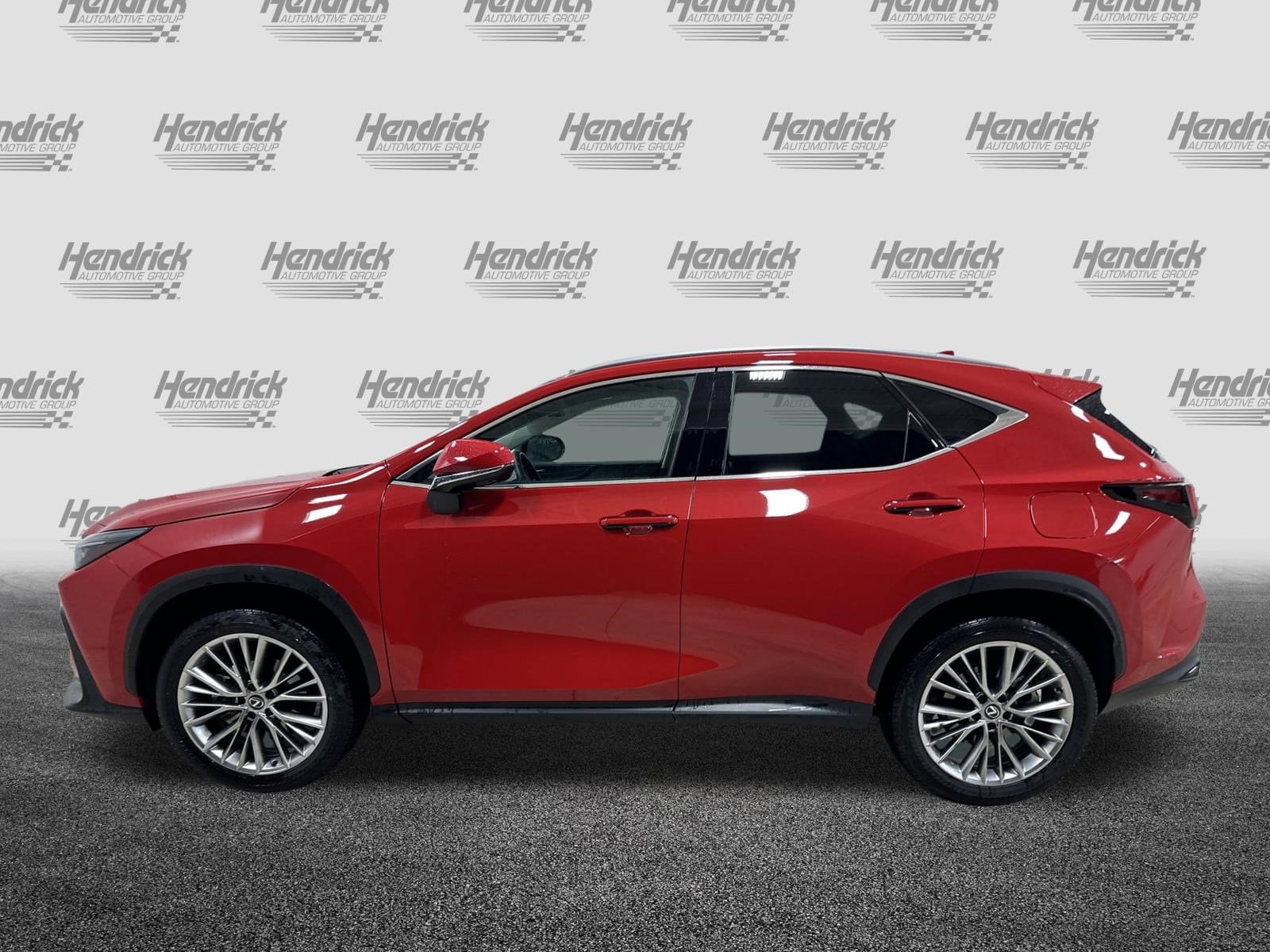 2025 LEXUS NX 350h Premium photo 5
