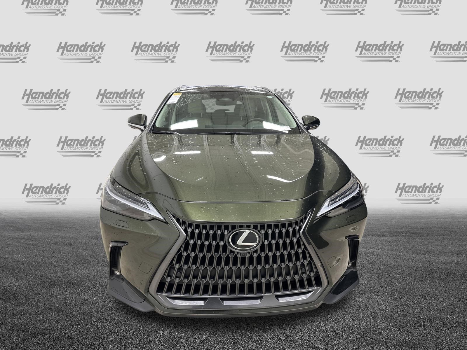 2025 LEXUS NX 350h Luxury photo 2