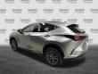 2024 LEXUS NX 350 350 Premium SUV