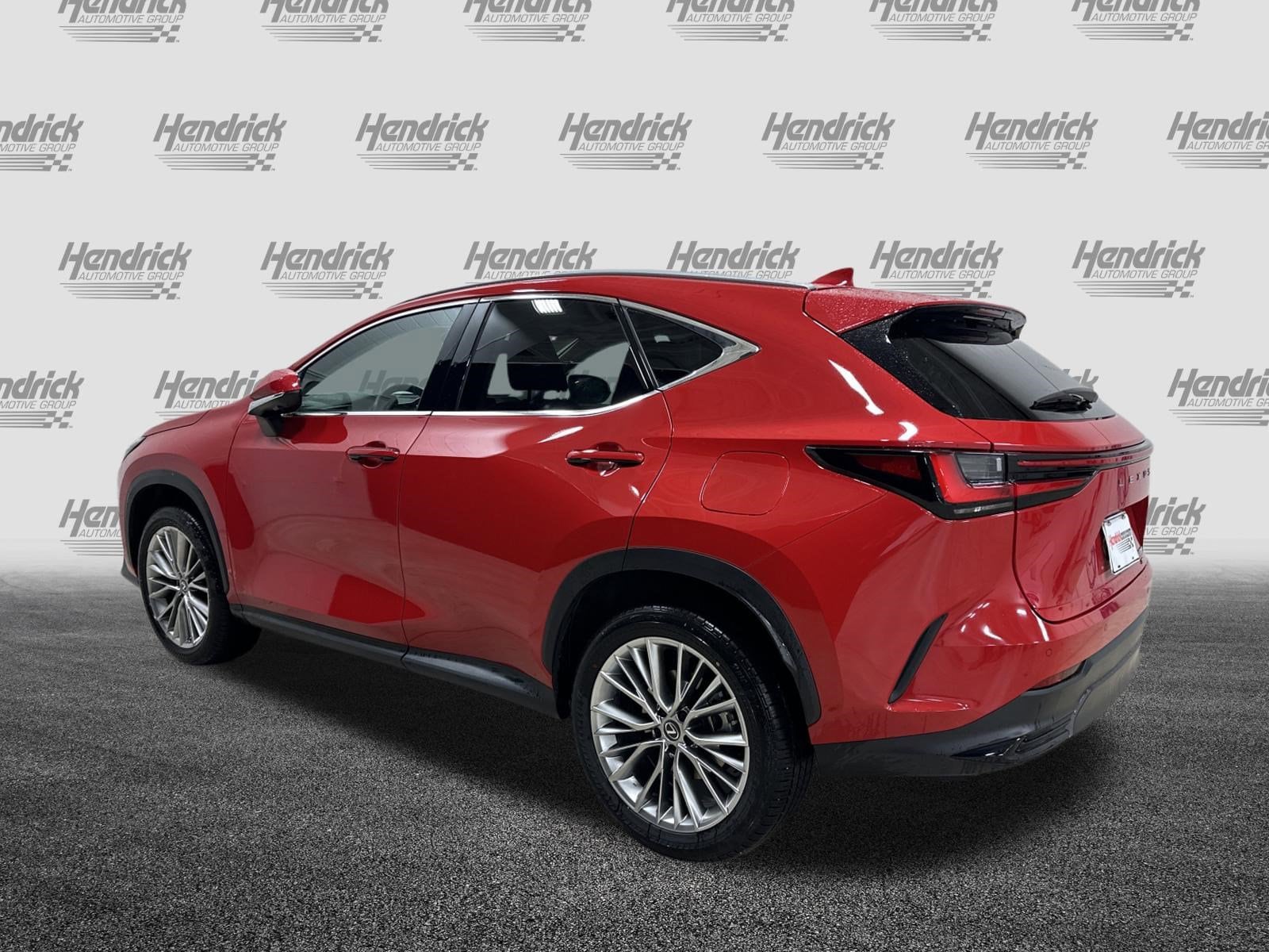 2025 LEXUS NX 350h Premium photo 6