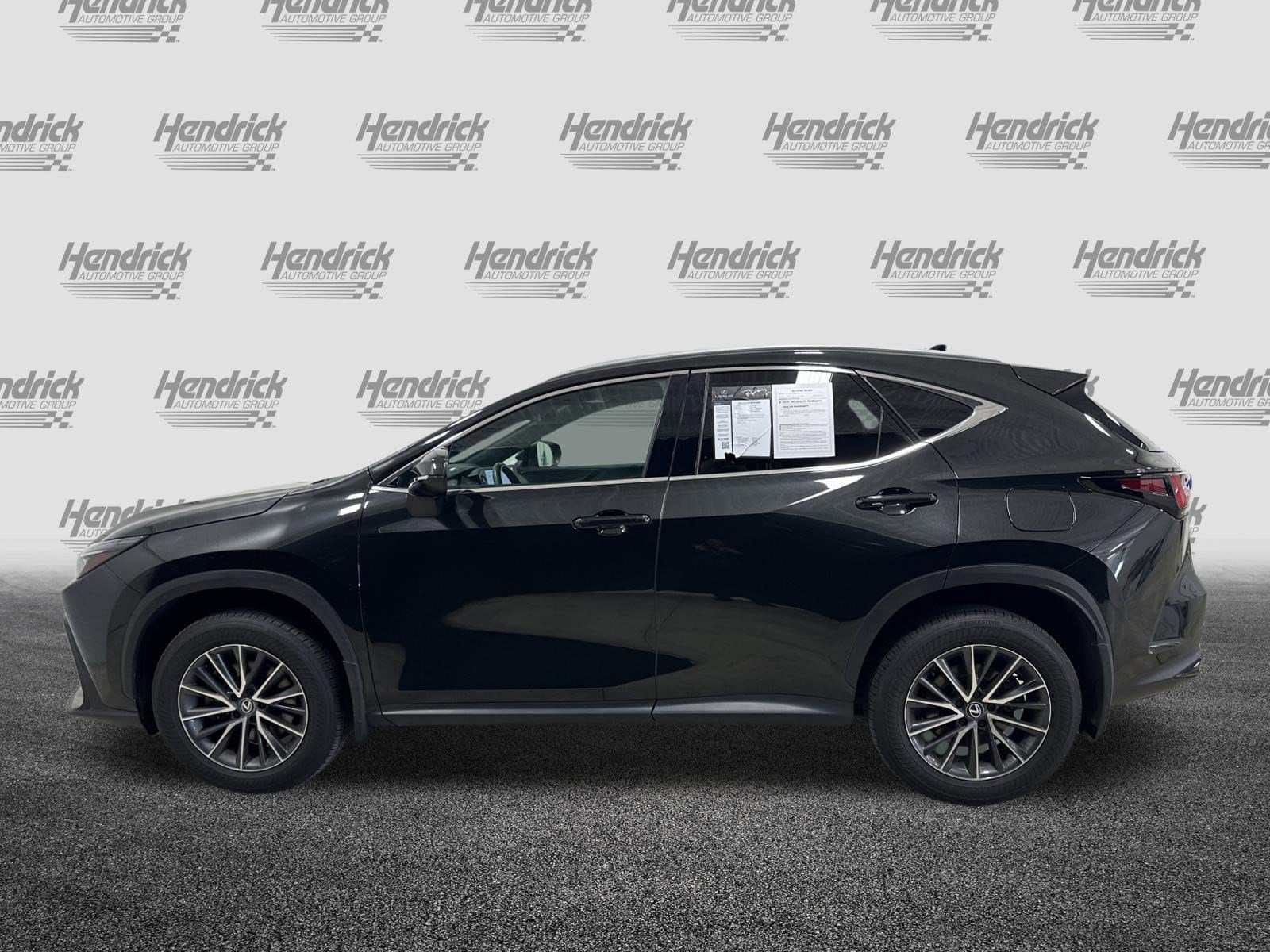 2024 LEXUS NX 350 Premium photo 4
