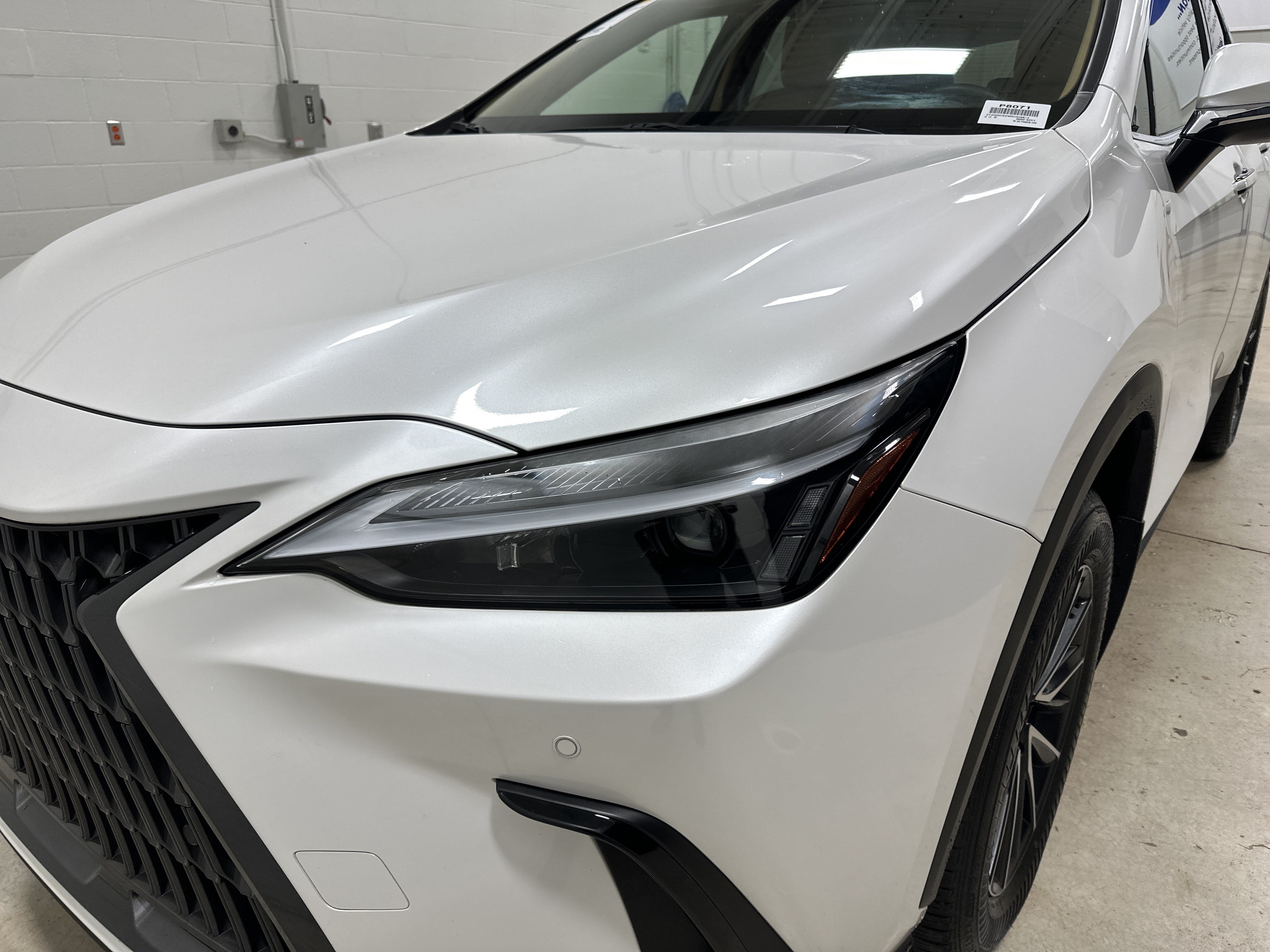 Used 2024 Lexus NX 350 Premium SUV