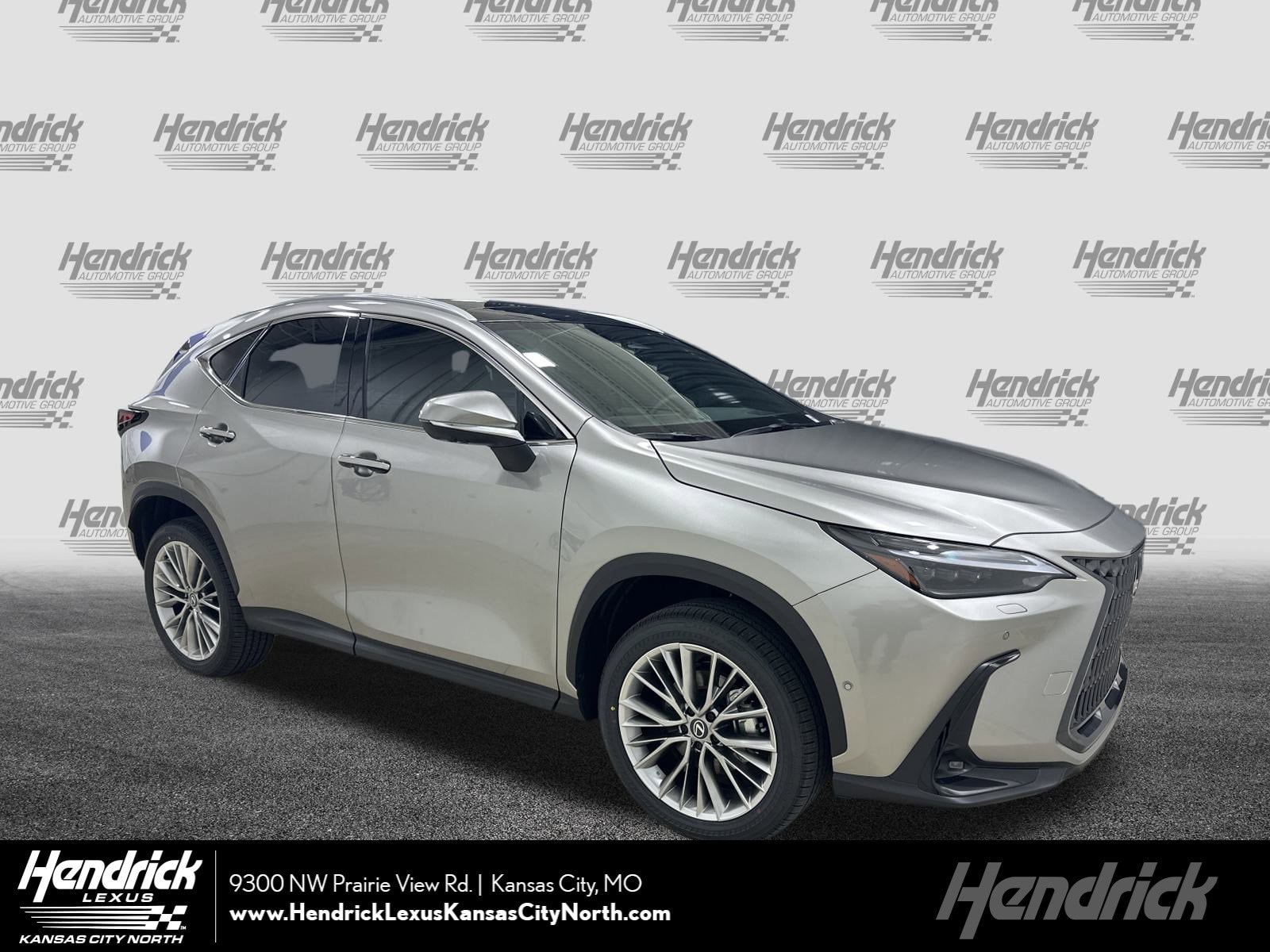 2026 Lexus NX Base's photo