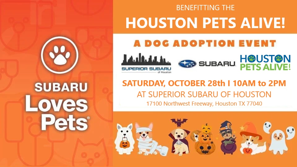 Houston Pets Alive Adoption Event at Superior Subaru of Houston