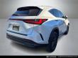 2024 LEXUS NX 250 SUV
