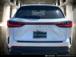 2023 LEXUS NX 250 SUV