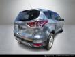 2015 Ford Escape SE SUV 2015 Ford Escape SE SUV