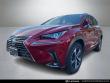 2020 LEXUS NX 300h SUV