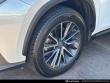 2022 LEXUS NX 250 Luxury SUV