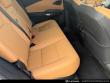 2025 LEXUS RX 350 Base SUV